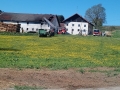 IMG-20190419-WA0037