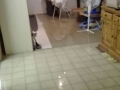 IMG-20180105-WA0006