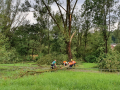 IMG-20210708-WA0010