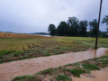 IMG-20210715-WA0009