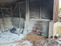 IMG-20191216-WA0009