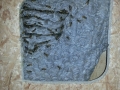 IMG-20150824-WA0002