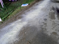 IMG-20210624-WA0001